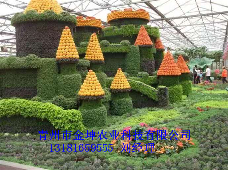 ũҵ