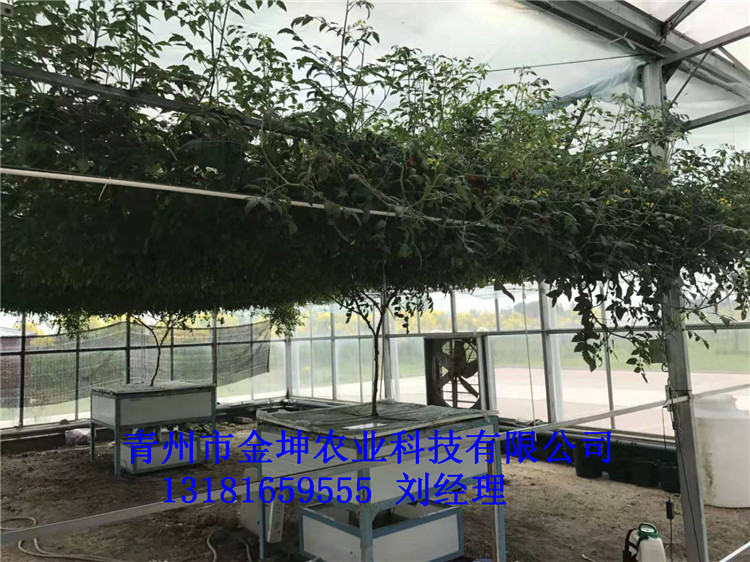 ũҵ
