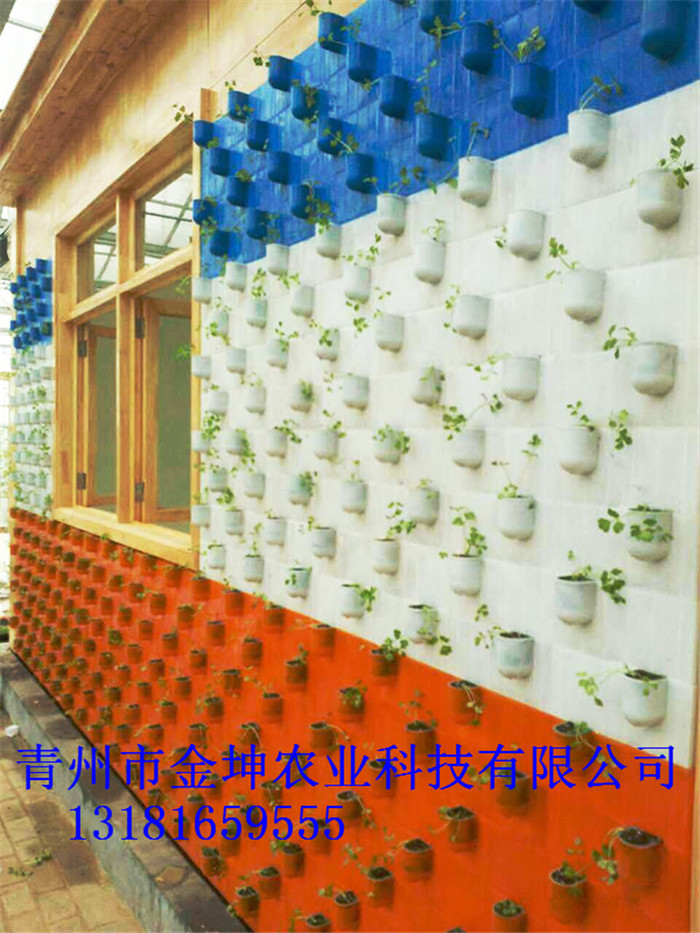 ǽʩ