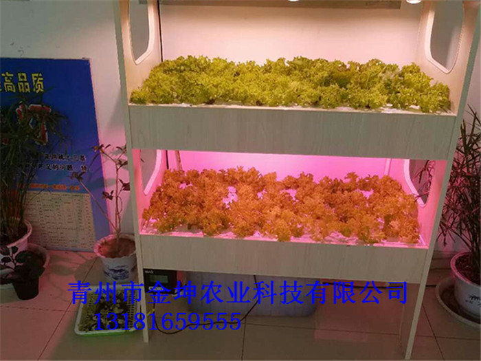ֲ
