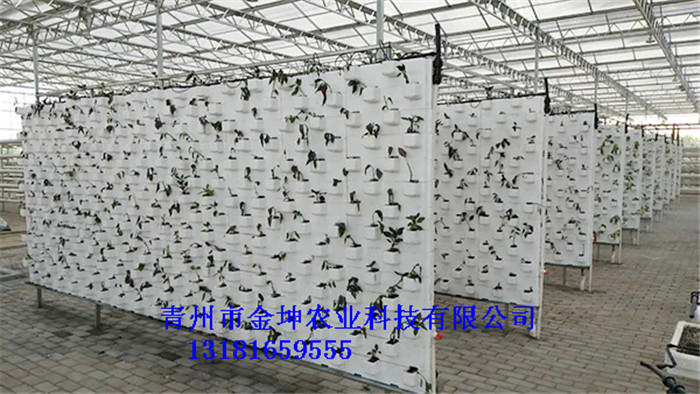 ֲ